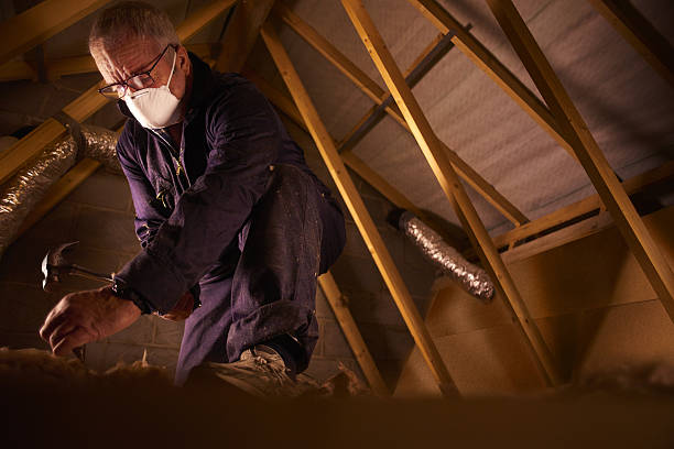 Trusted Alton, IA Insulation Contractor Experts